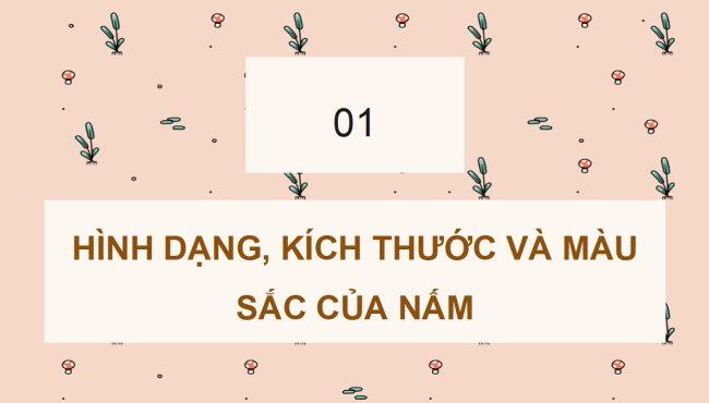 PowerPoint Khoa học 4 Kết nối tri thức Học kì 2