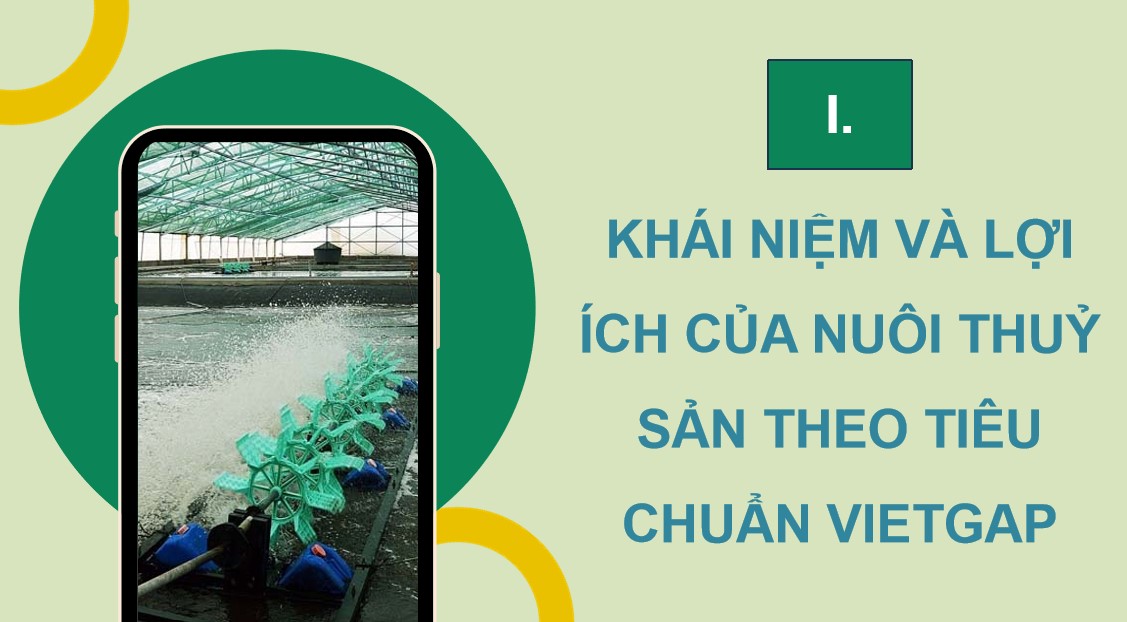 PowerPoint Công nghệ 12 Kết nối tri thức Bài Nuôi thuỷ sản theo tiêu chuẩn VietGAP