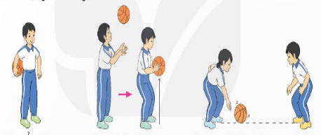 GV cho HS thực hiện khởi động với bóng