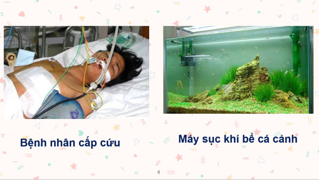 PowerPoint Khoa học tự nhiên 6 Bài 7: Oxygen và không khí