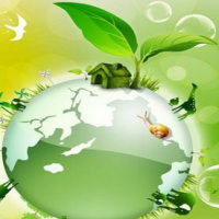 Giáo án Khoa học tự nhiên 6: Bài tập Chủ đề 3 và 4