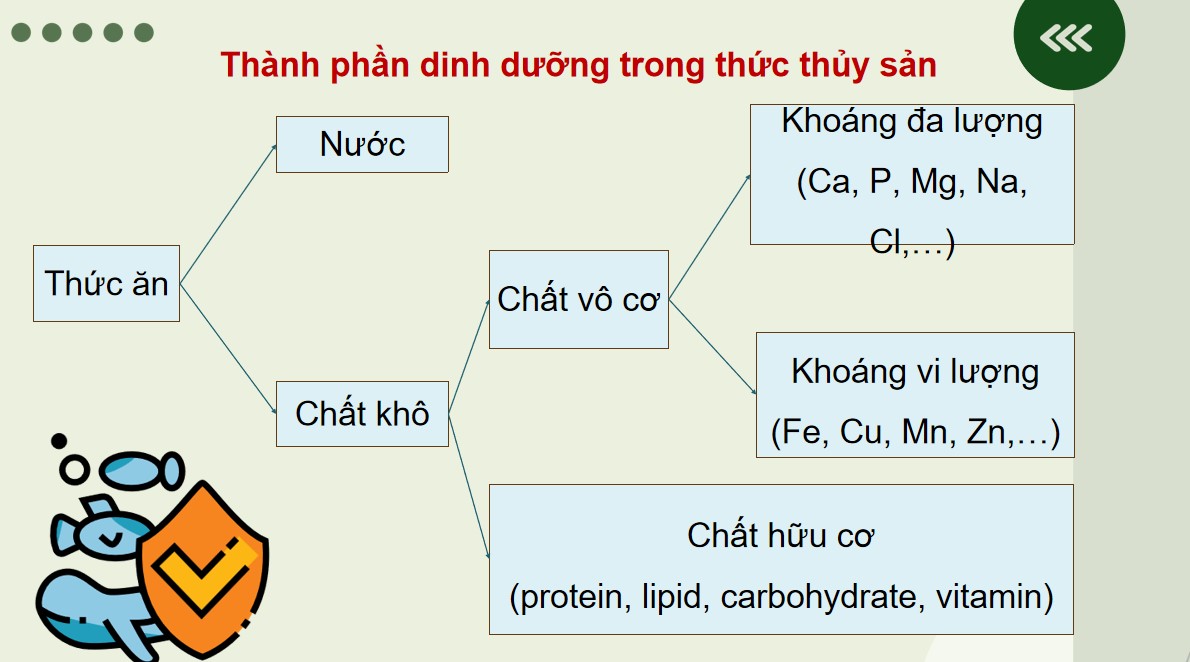 PowerPoint Công nghệ 12 Kết nối tri thức Bài Ôn tập chương 7