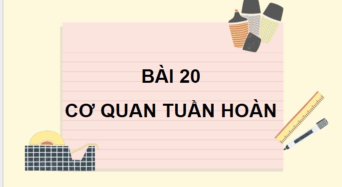 Tu nhien va xa hoi 3 KNTT bai 20 3*871752