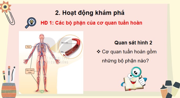 Tu nhien va xa hoi 3 KNTT bai 20 6*871755