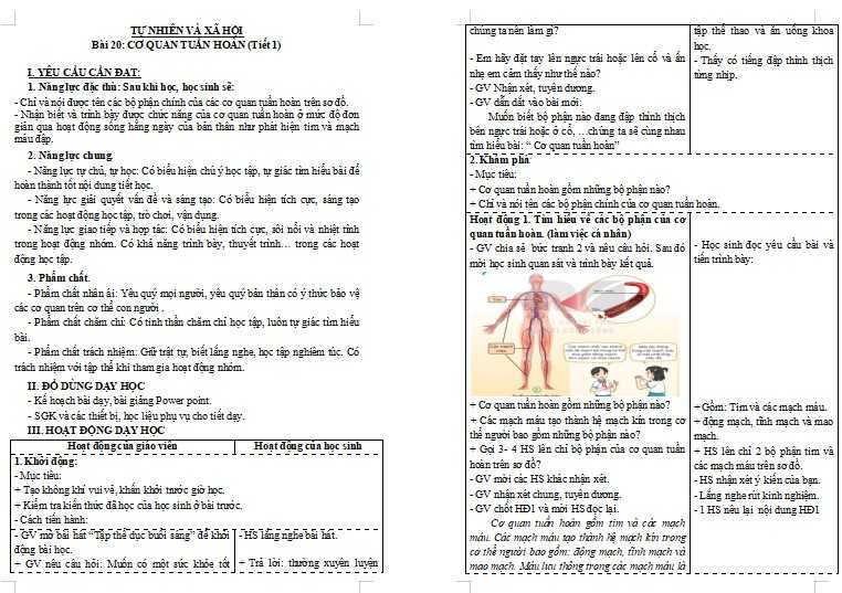 Giáo án Tự nhiên và xã hội lớp 3 Bài 20: Cơ quan tuần hoàn