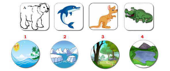 Bồi dưỡng HSG Tiếng Anh lớp 4 minh họa 2