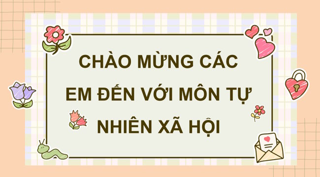 TNXH 1 1*788782