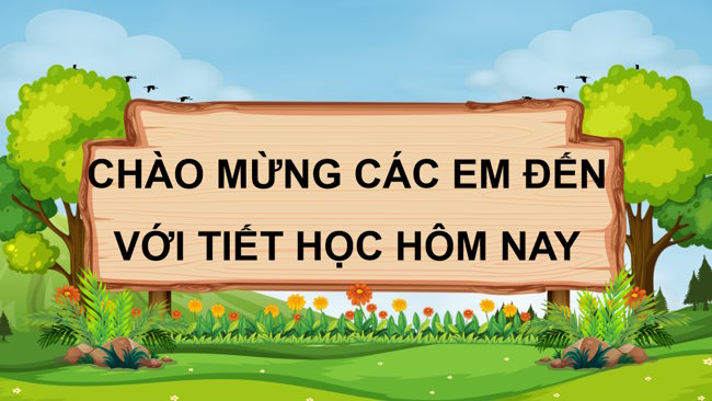 TNXH 1 HK2 1*788787