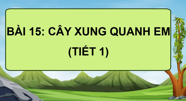 TNXH 1 HK2 3*788783