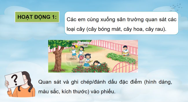 TNXH 1 HK2 6*788790